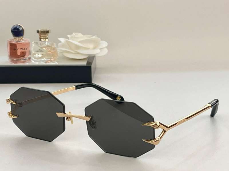 Picture of Roberto Cavalli Sunglasses _SKUfw56600765fw